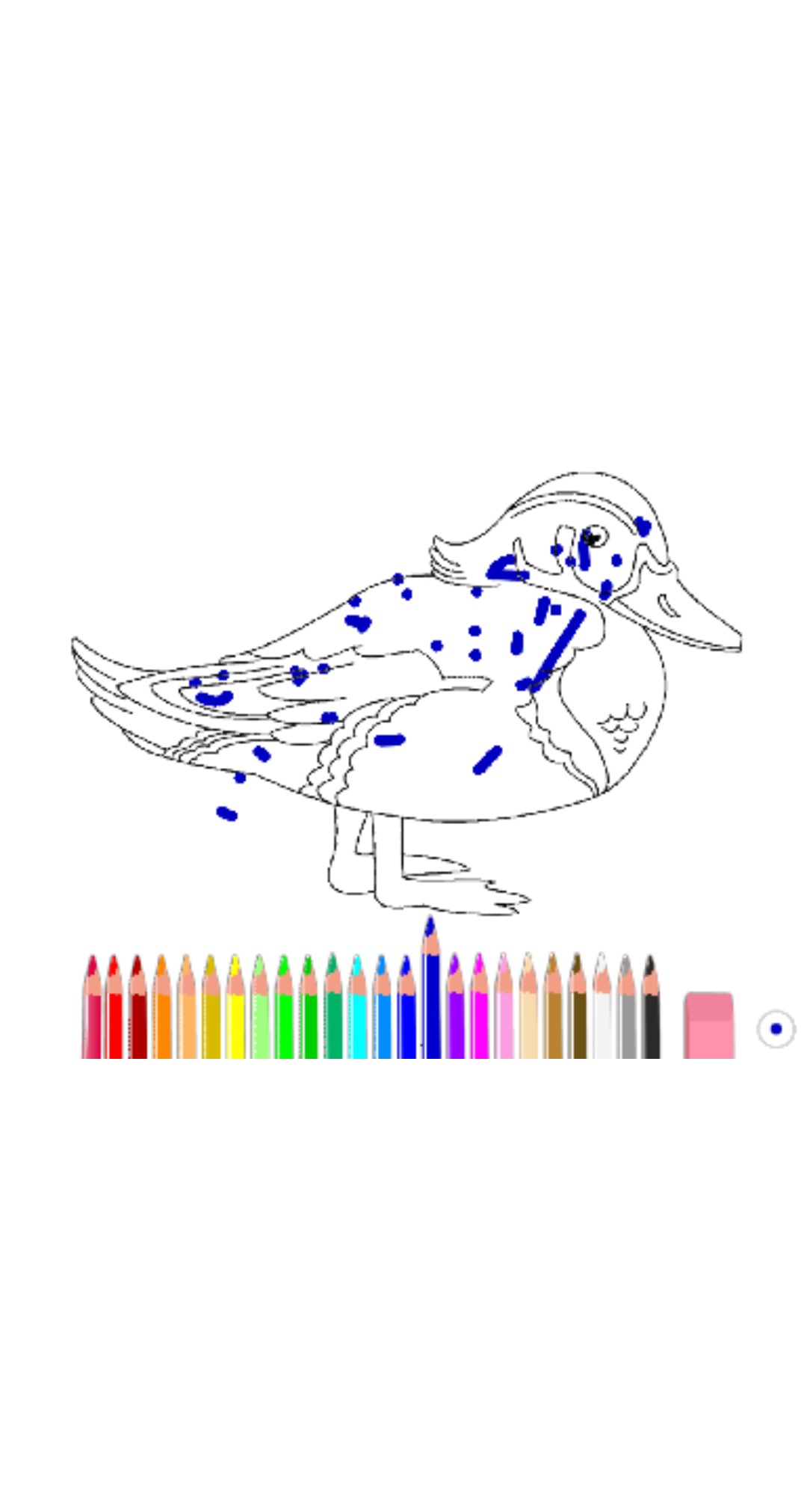 bojanke_1627291934.png