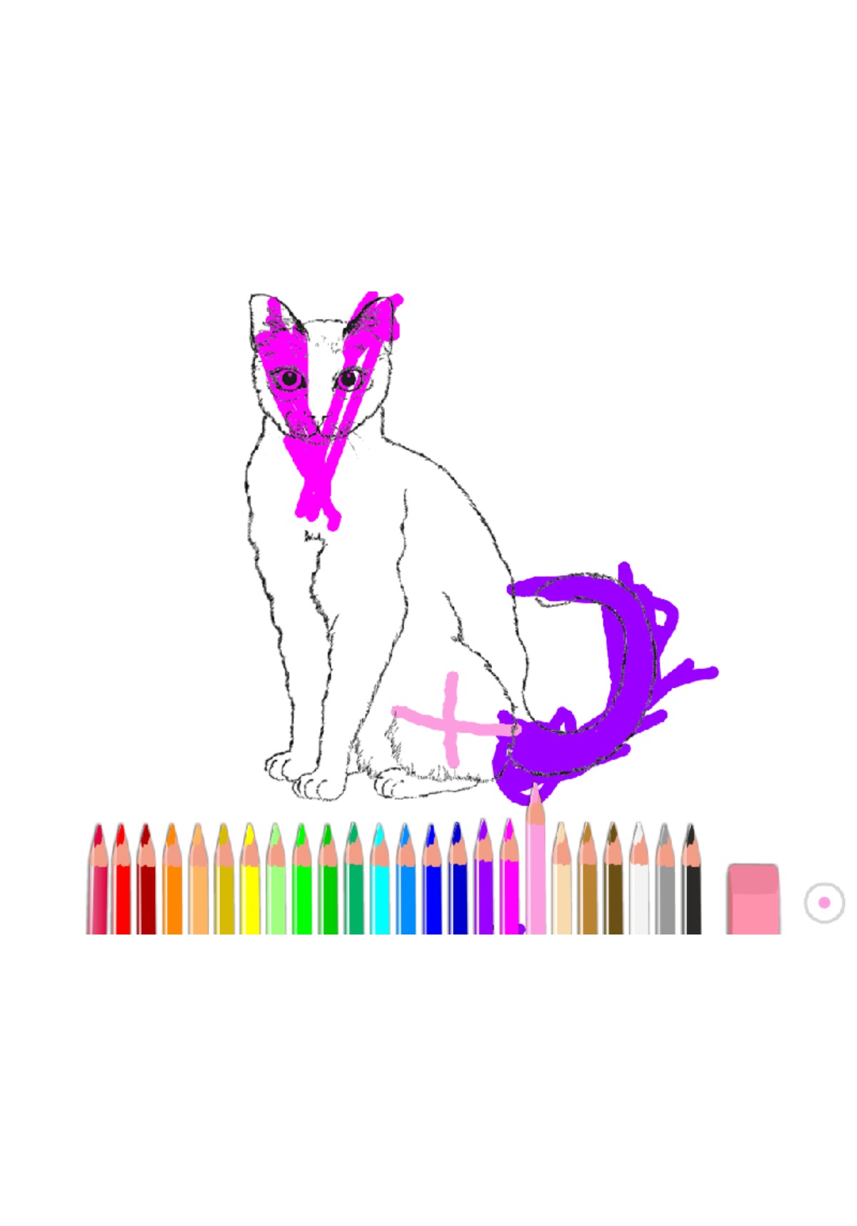 bojanke_1628016897.png