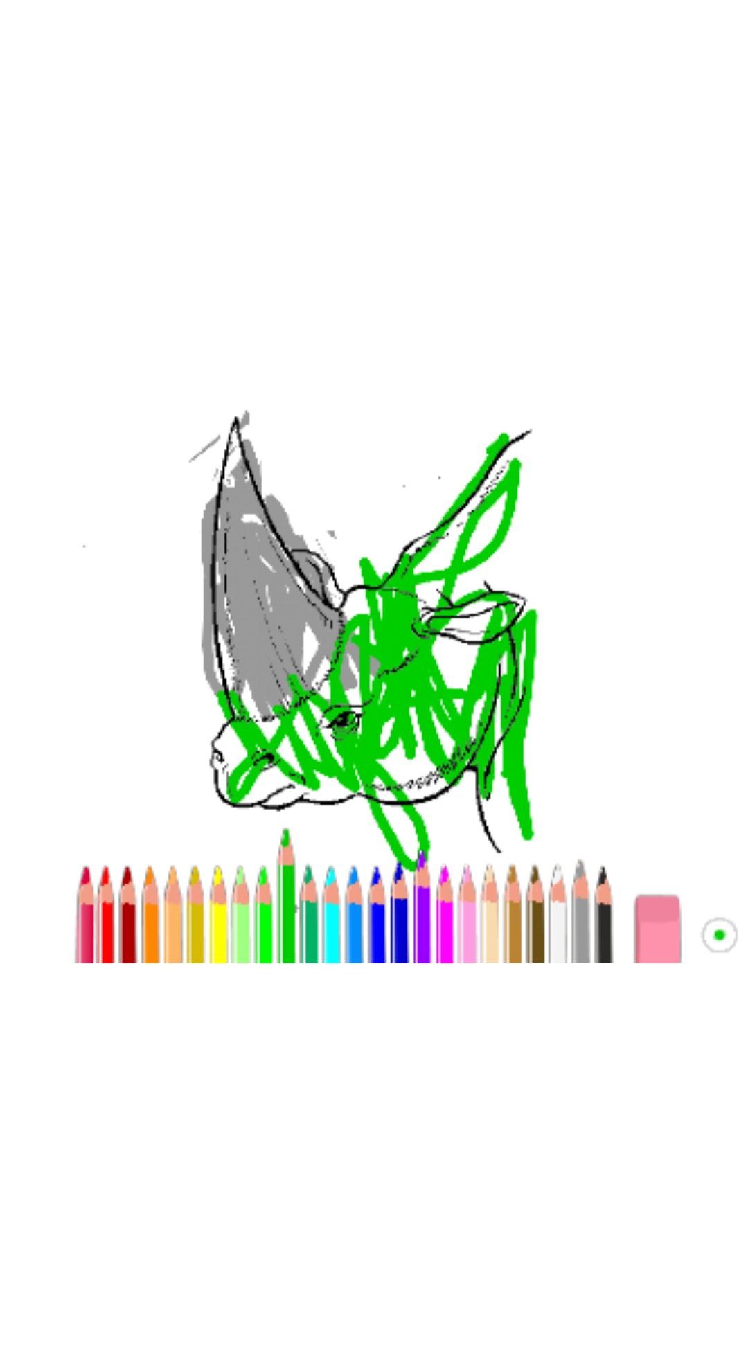bojanke_1628778208.png