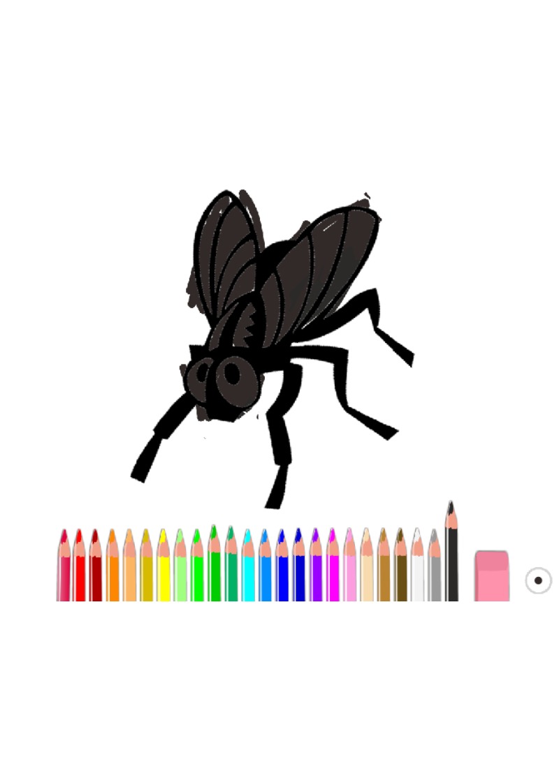bojanke_1629643623.png