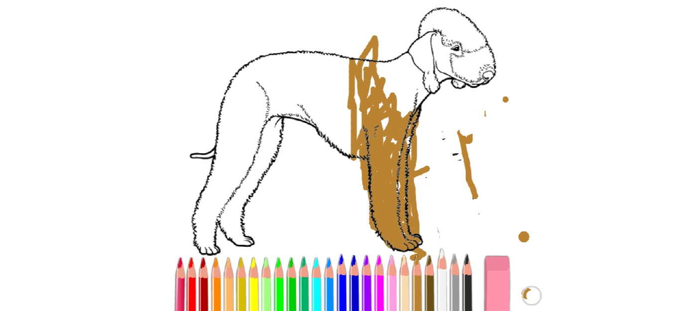 bojanke_1634638884.png