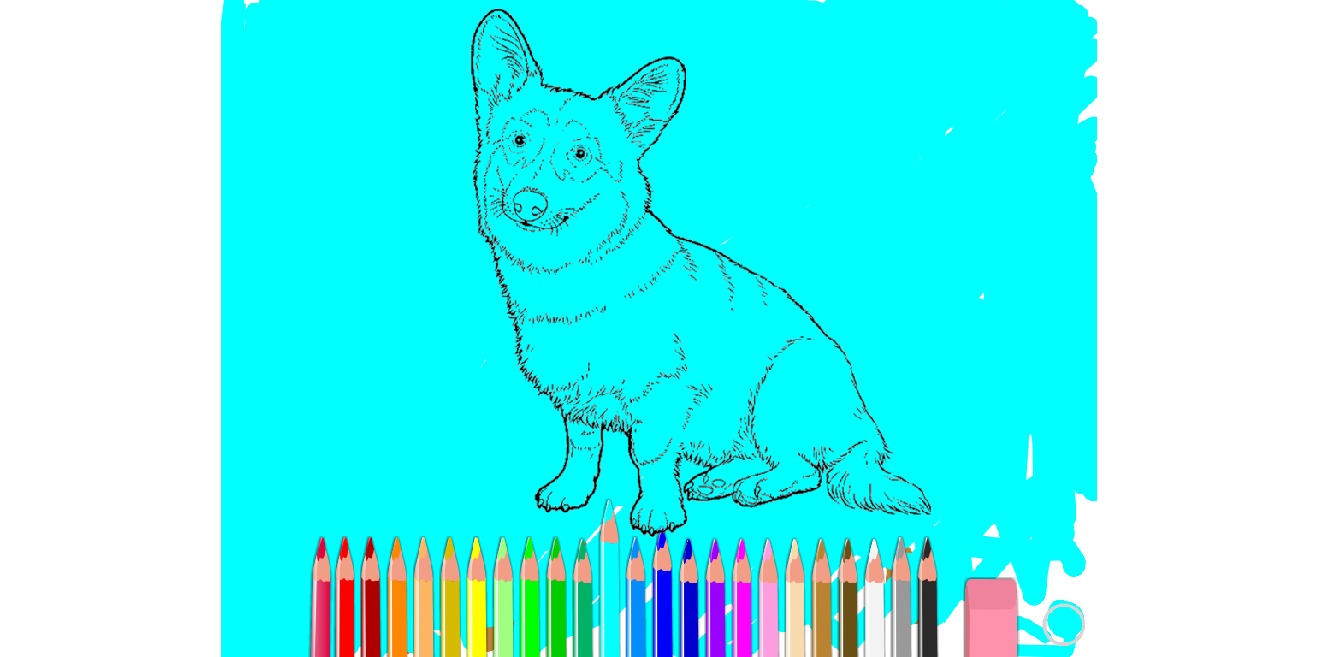 bojanke_1634909957.png