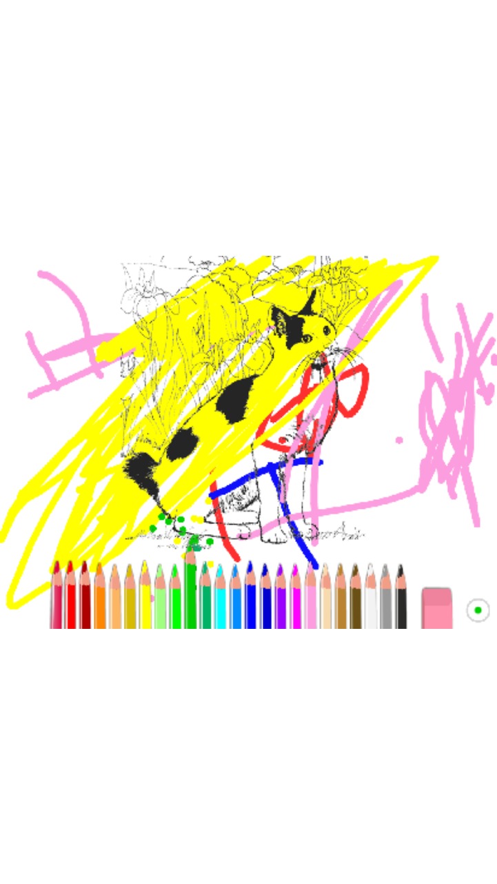 bojanke_1640005583.png