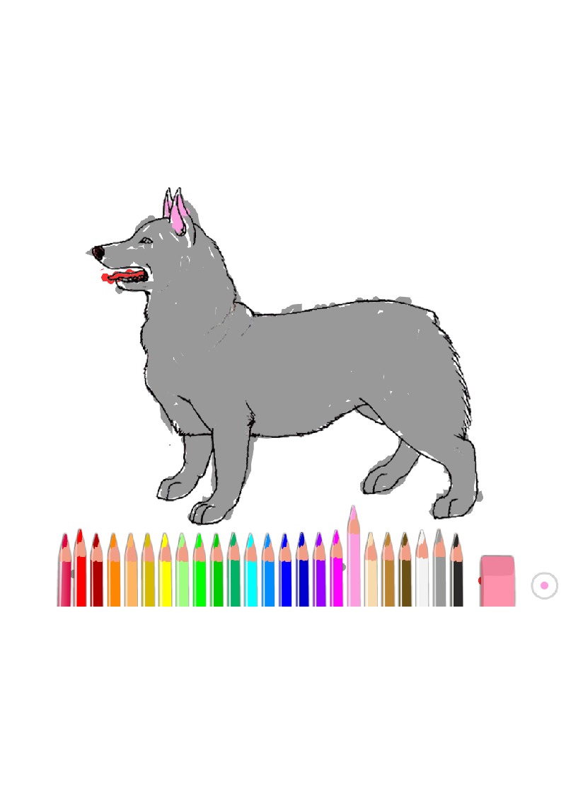 bojanke_1642345088.png