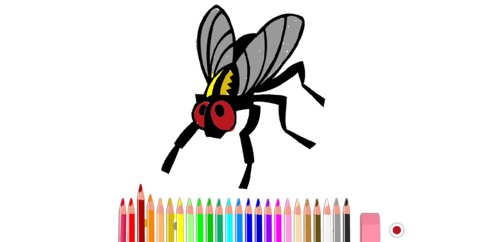 bojanke_1642693313.png