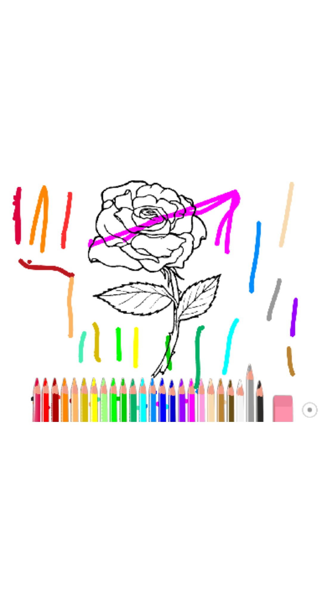 bojanke_1667325005.png
