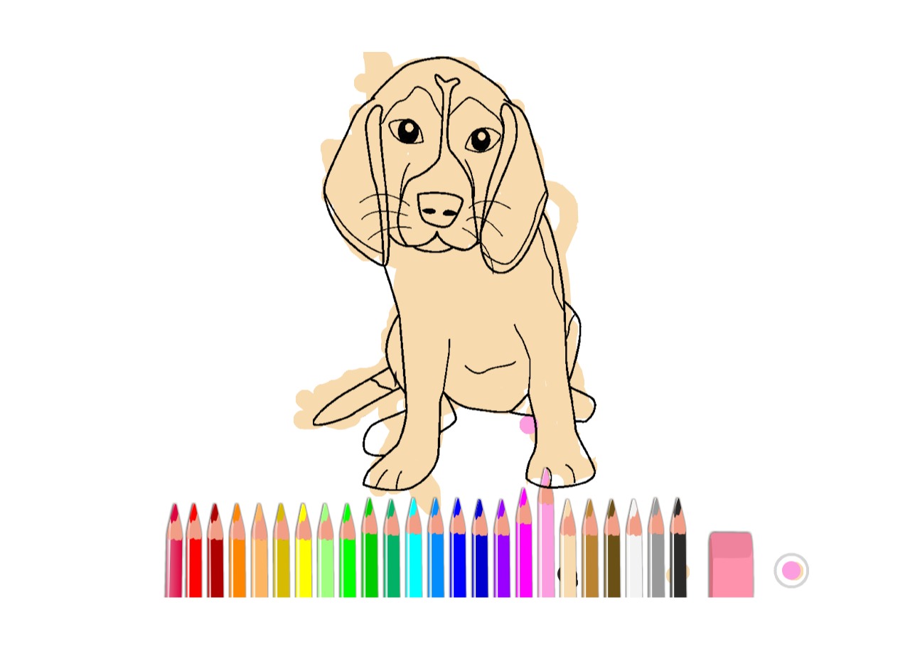 bojanke_1668683572.png