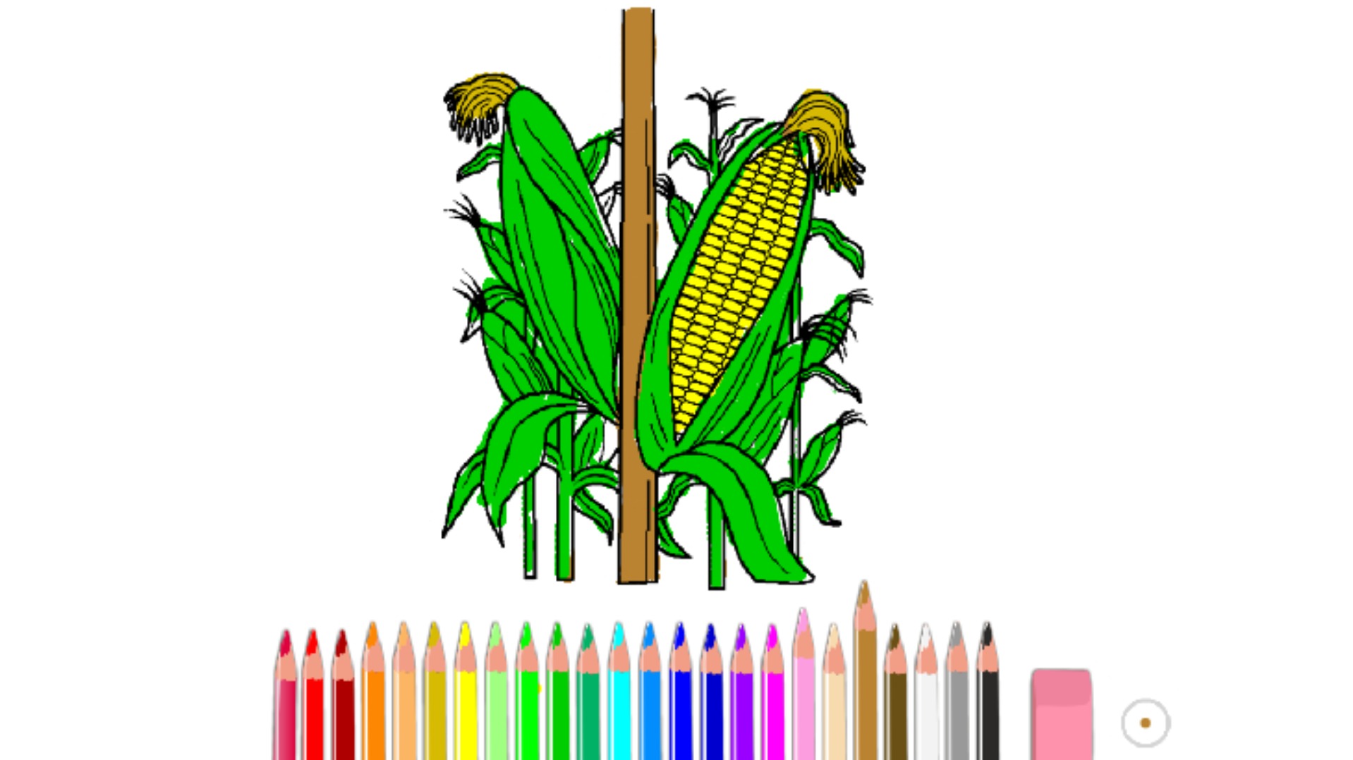 bojanke_1669059493.png