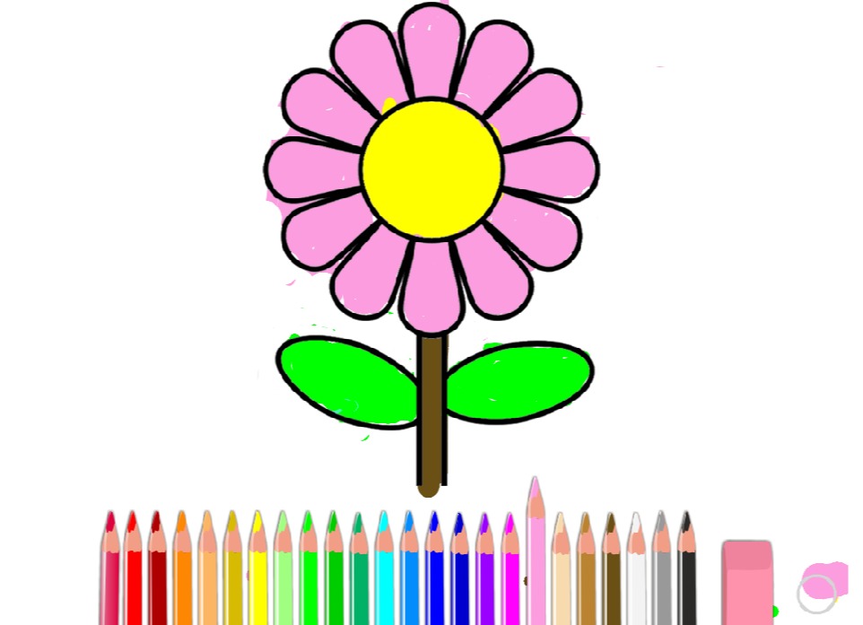 bojanke_1669061582.png
