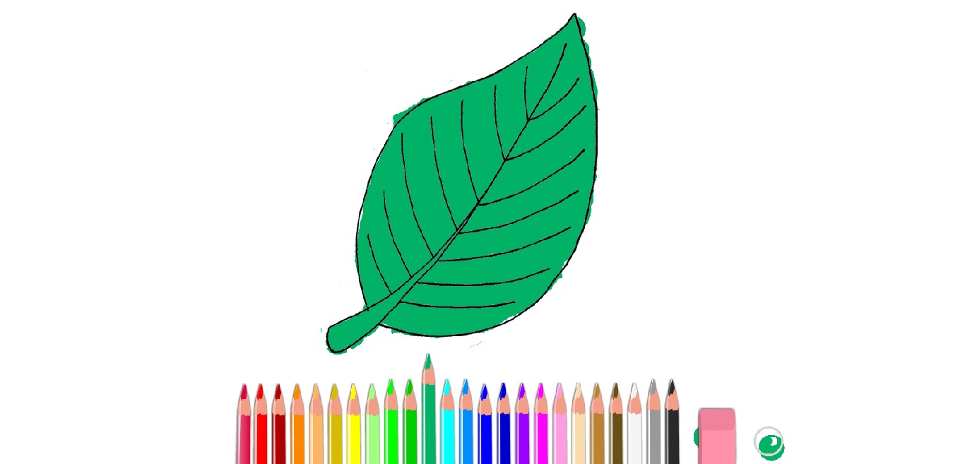 bojanke_1669141306.png
