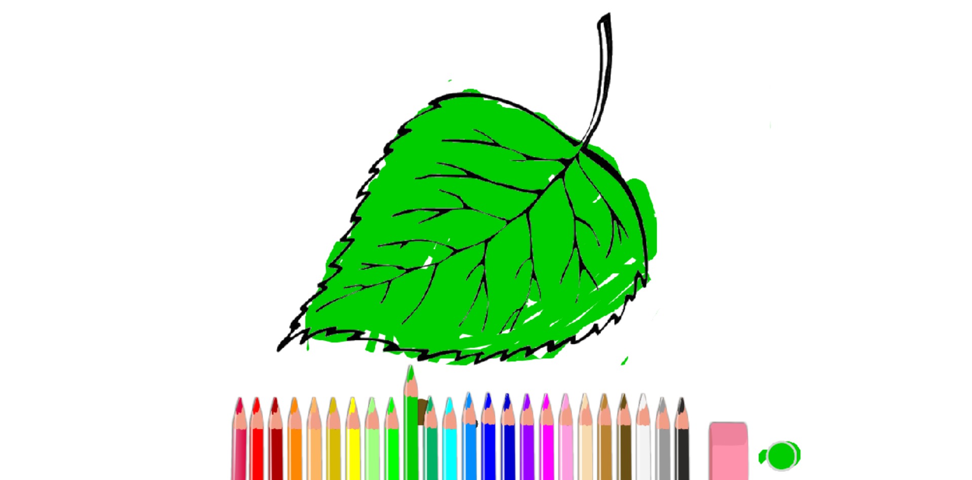 bojanke_1669203042.png