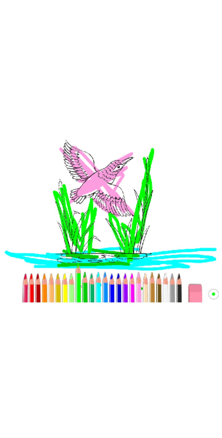bojanke_1671554514.png