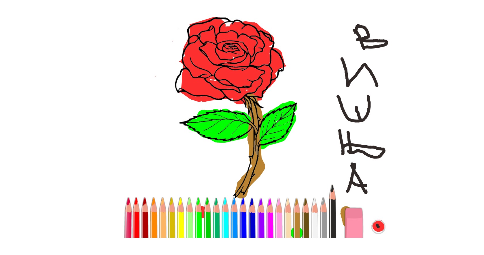 bojanke_1674905927.png