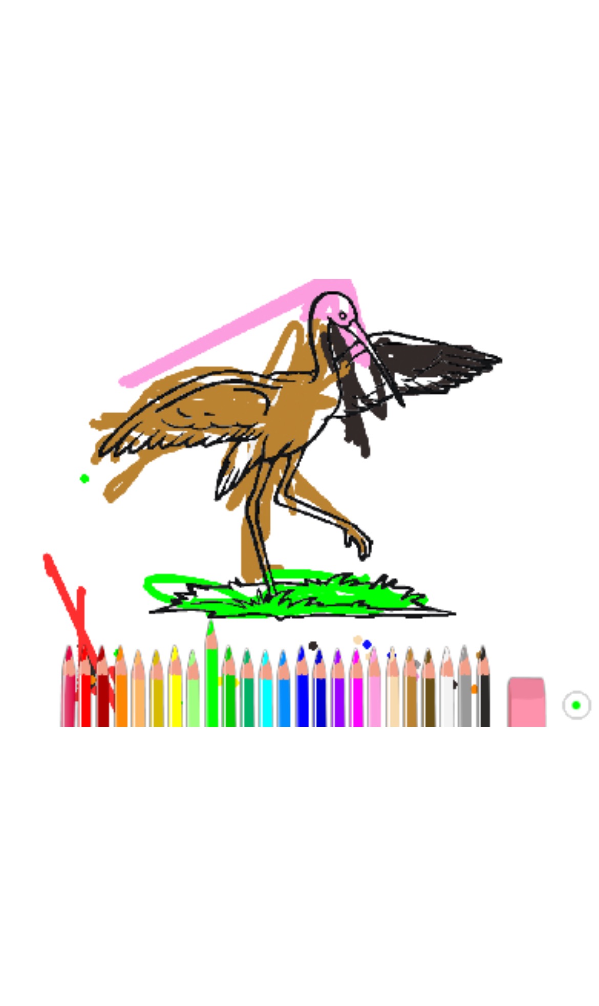 bojanke_1676207193.png