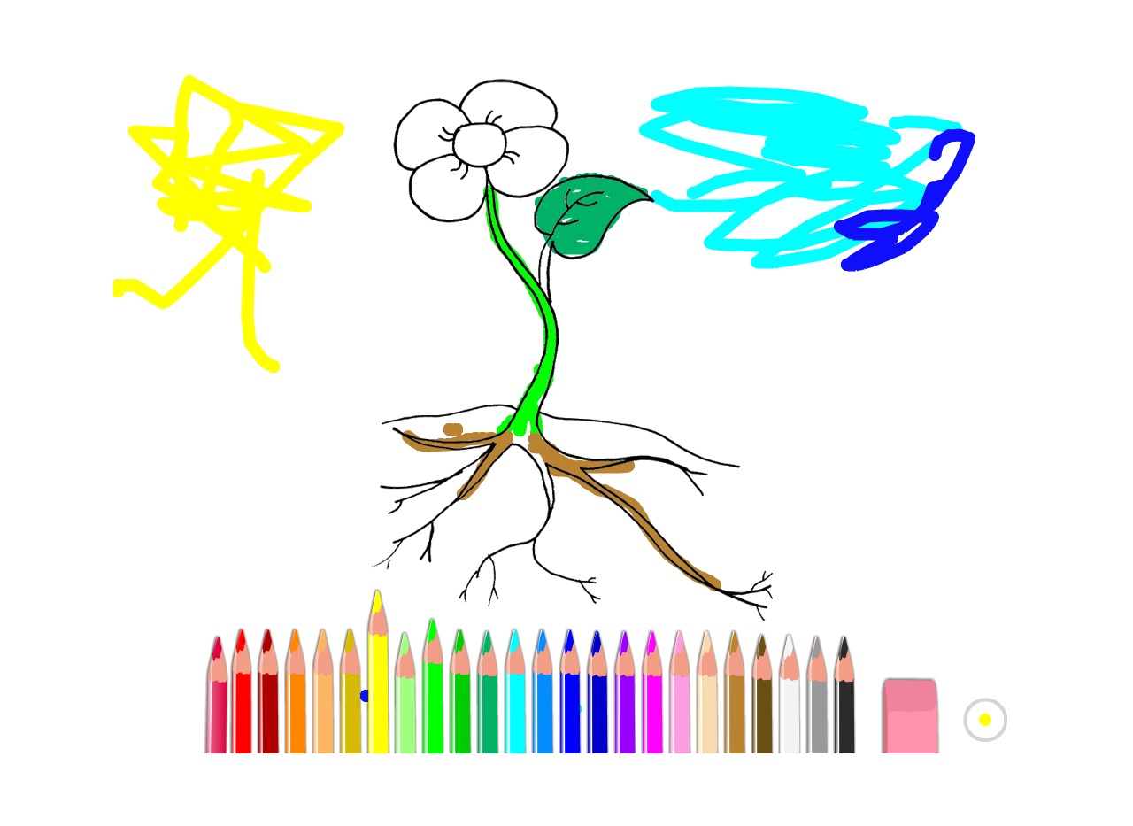 bojanke_1677849349.png