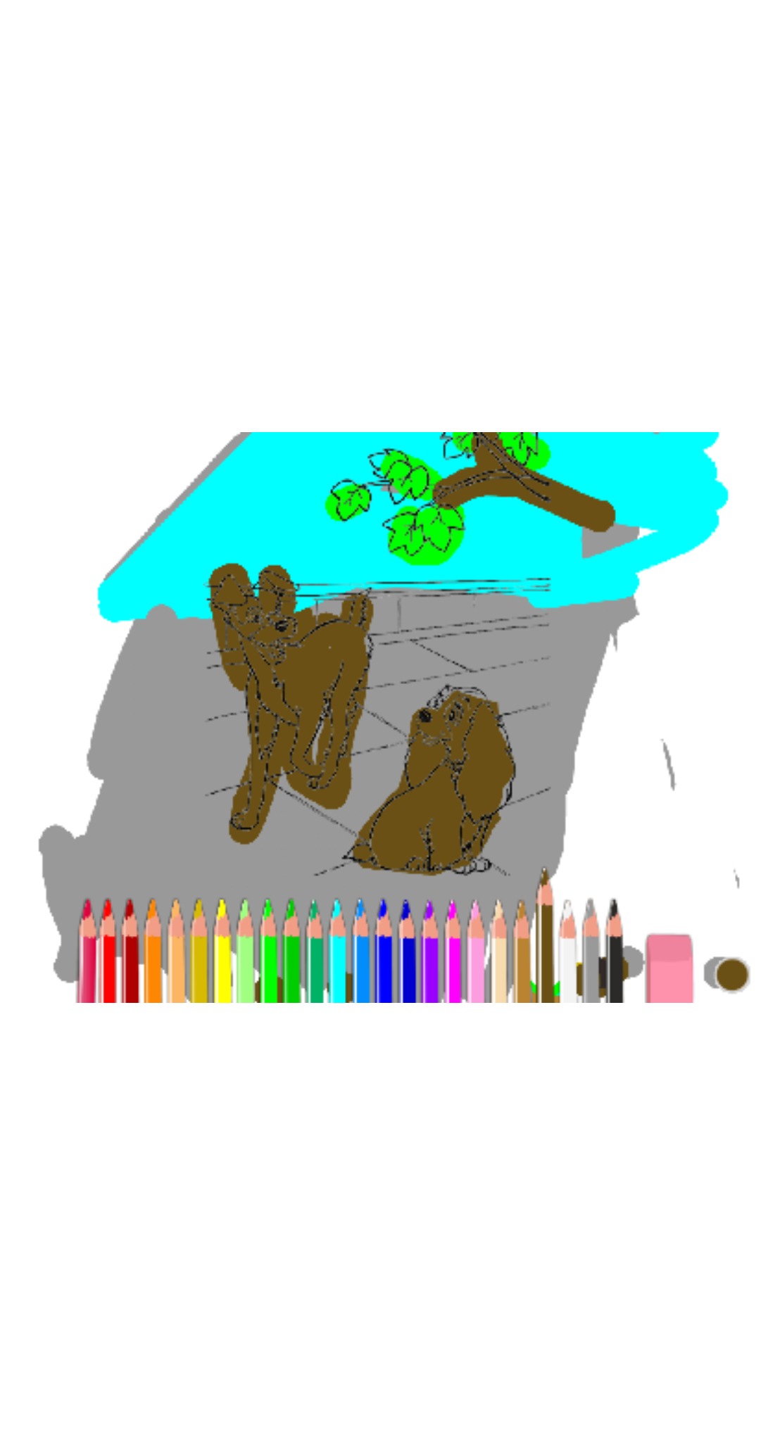 bojanke_1683740503.png