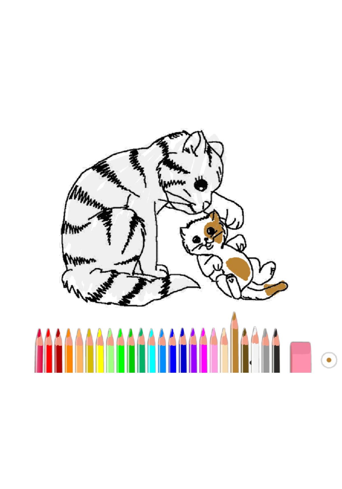 bojanke_1683800179.png