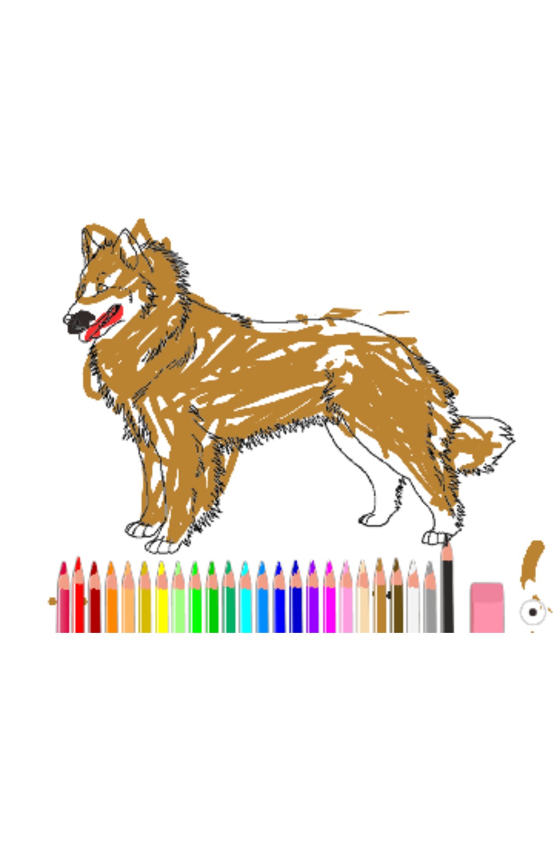 bojanke_1684840693.png