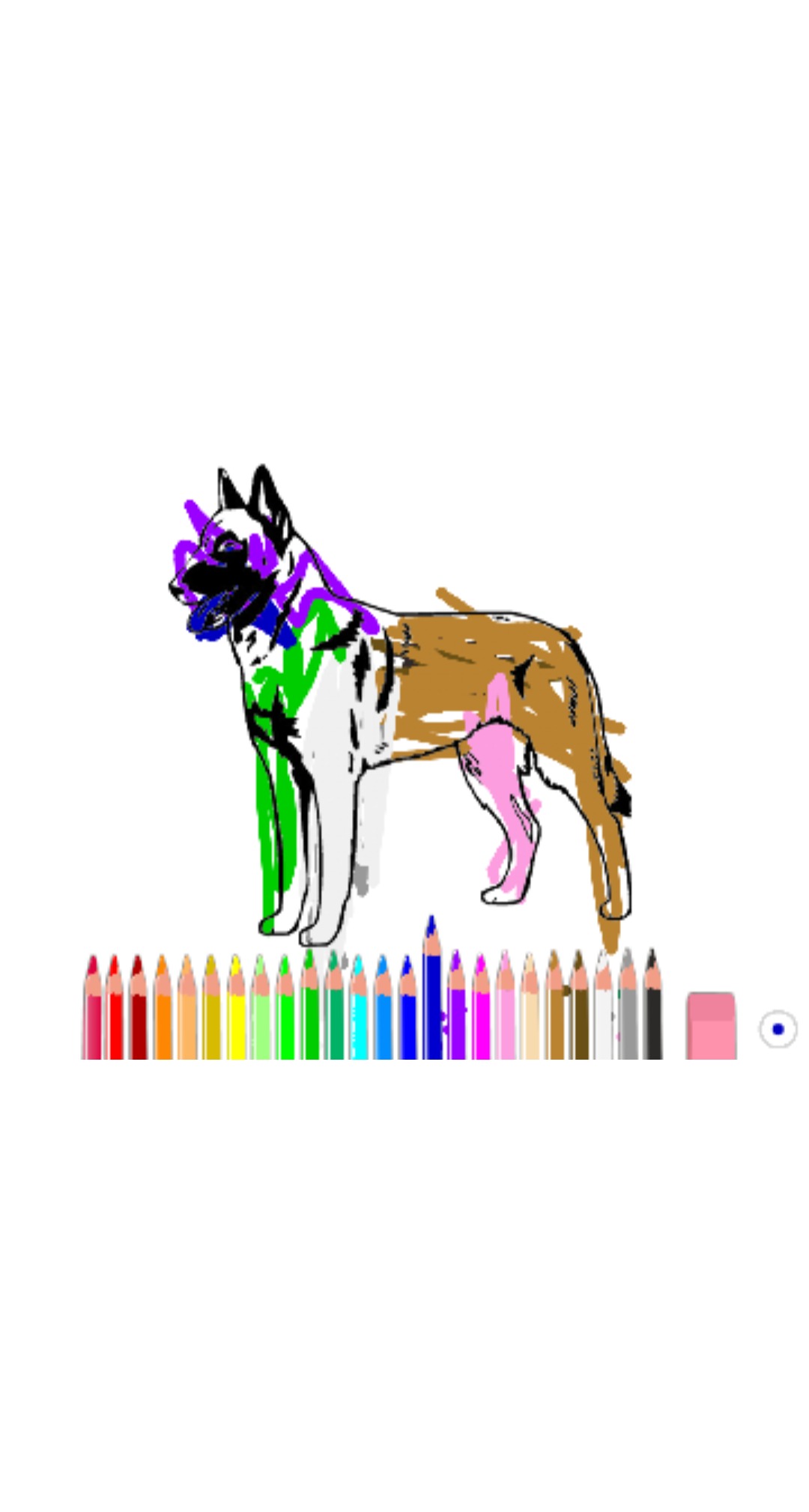 bojanke_1684906473.png