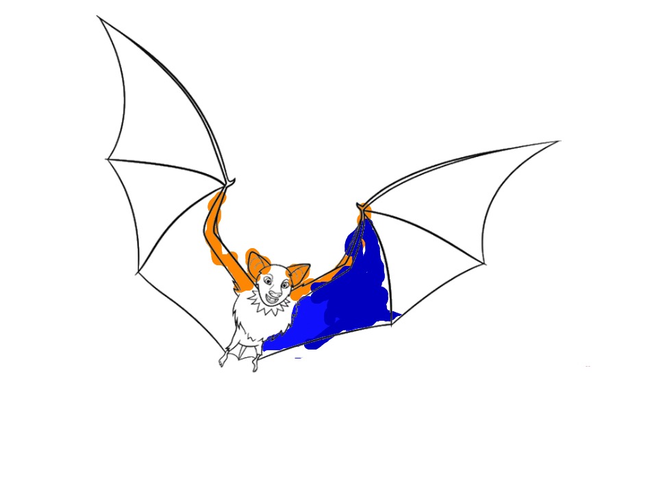 bojanke_1691179028.png
