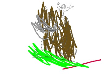 bojanke_1691350780.png