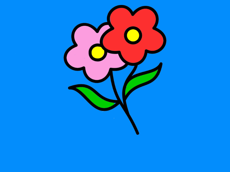 bojanke_1691497537.png