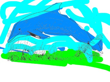 bojanke_1692194577.png
