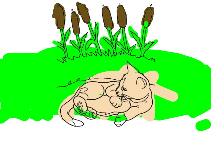 bojanke_1693466306.png