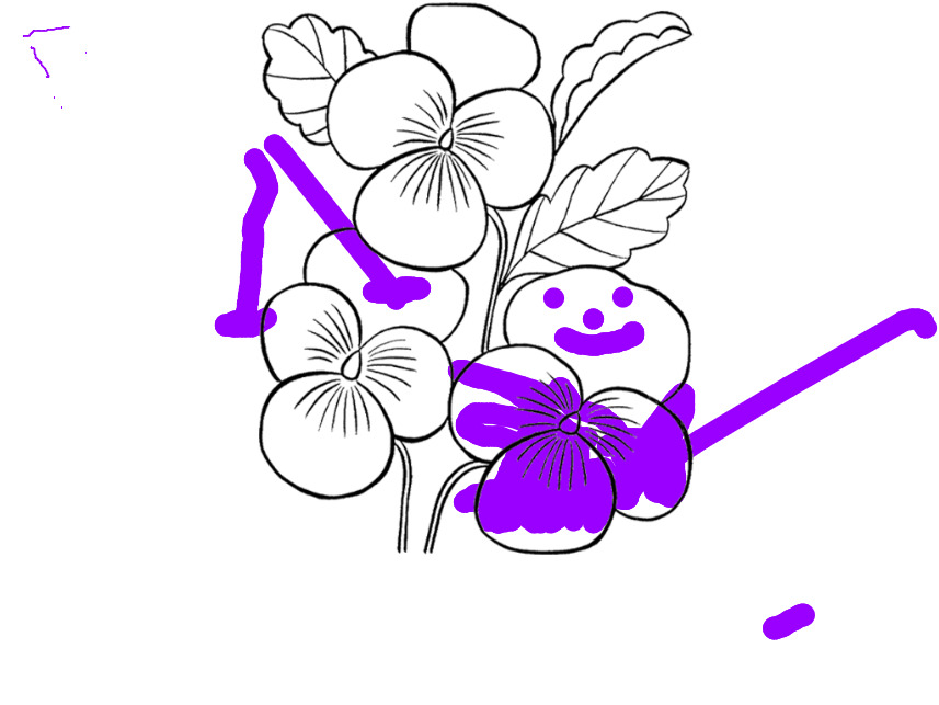 bojanke_1693900731.png