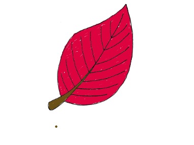bojanke_1695667275.png