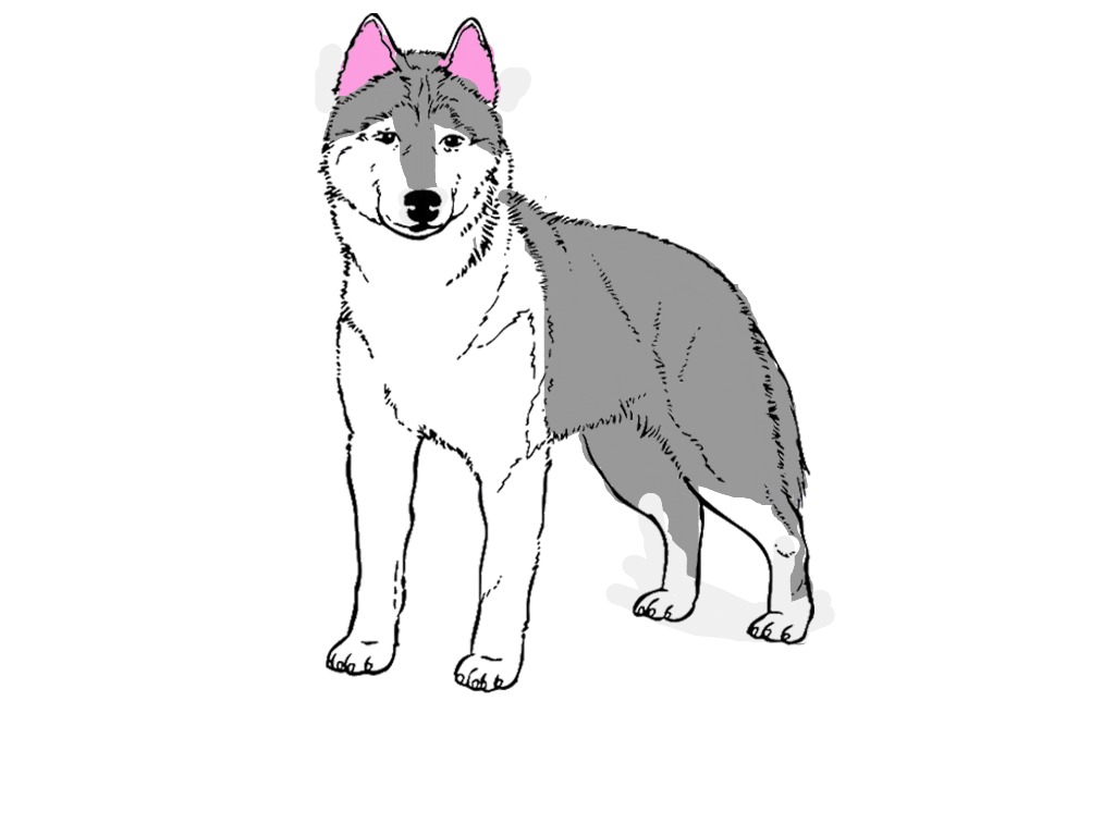 bojanke_1696184625.png