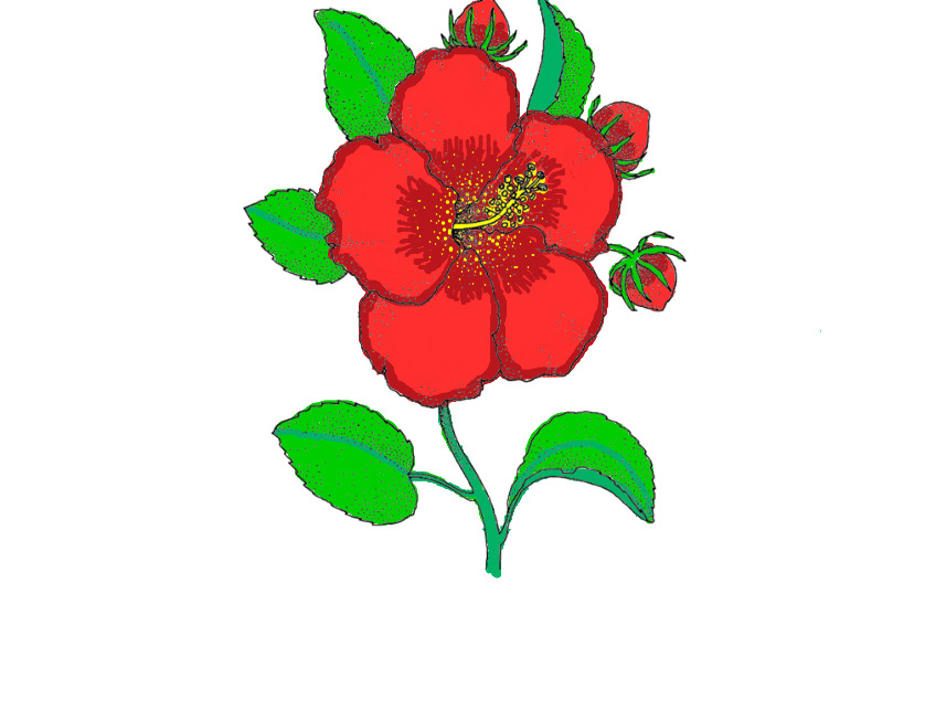 bojanke_1697015167.png