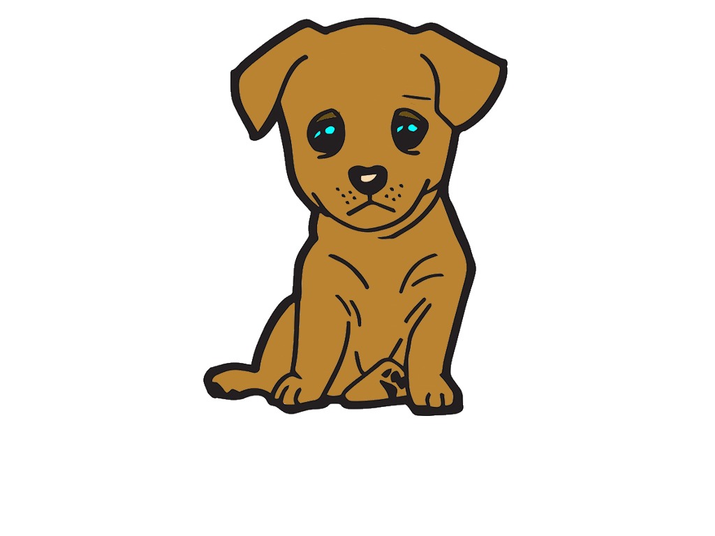 bojanke_1697715033.png
