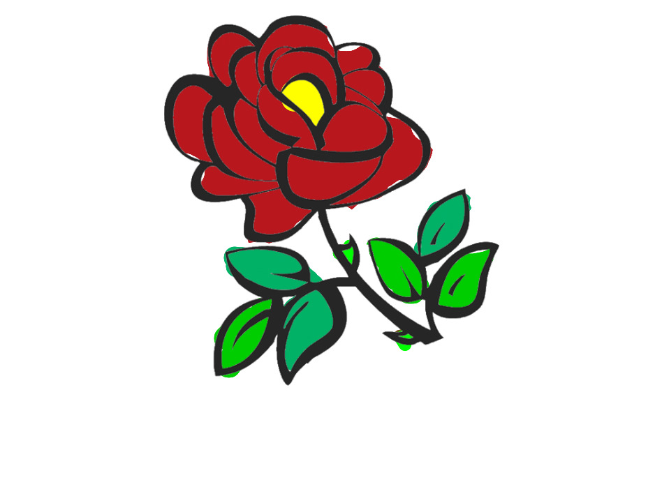 bojanke_1698001032.png