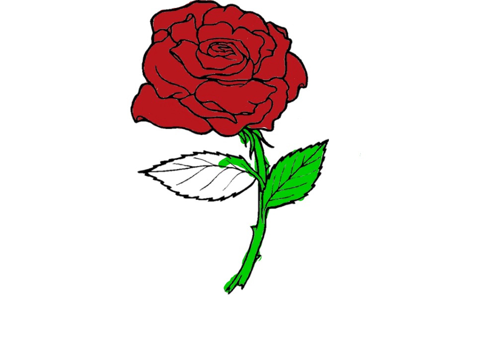 bojanke_1698066596.png