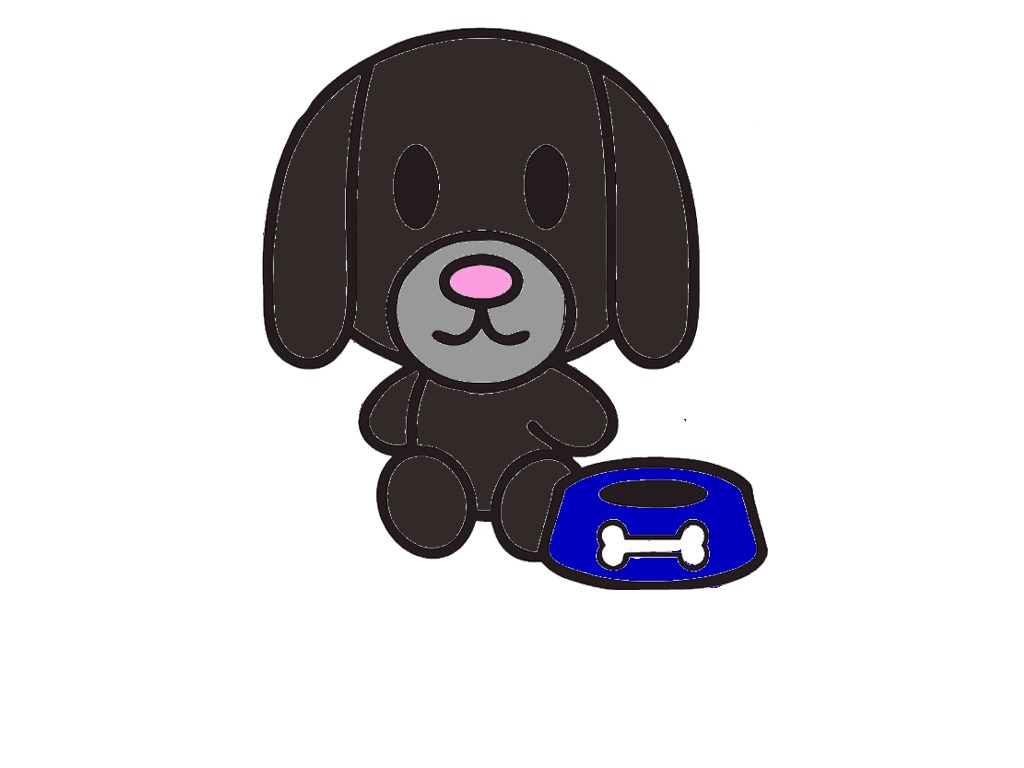 bojanke_1698174938.png