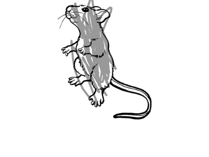 bojanke_1698331306.png