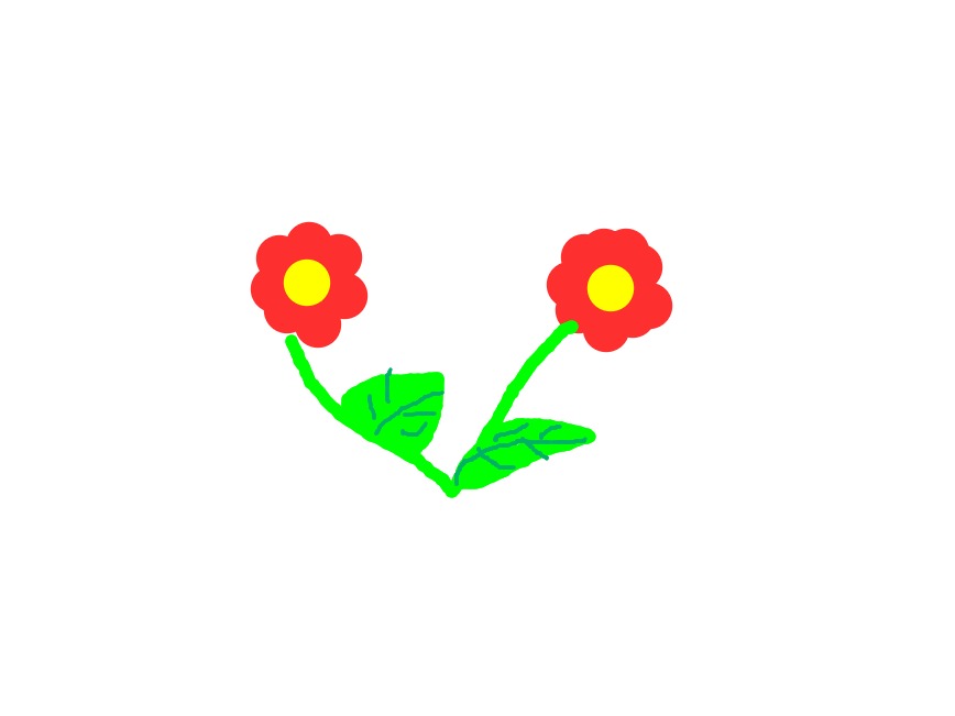 bojanke_1698354060.png