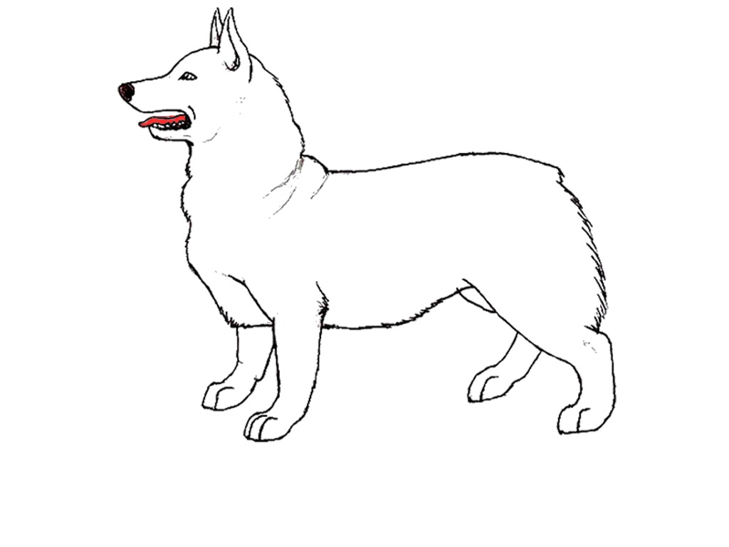 bojanke_1698493427.png