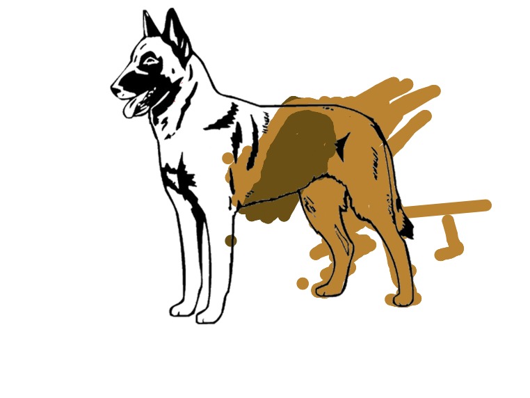 bojanke_1698596300.png