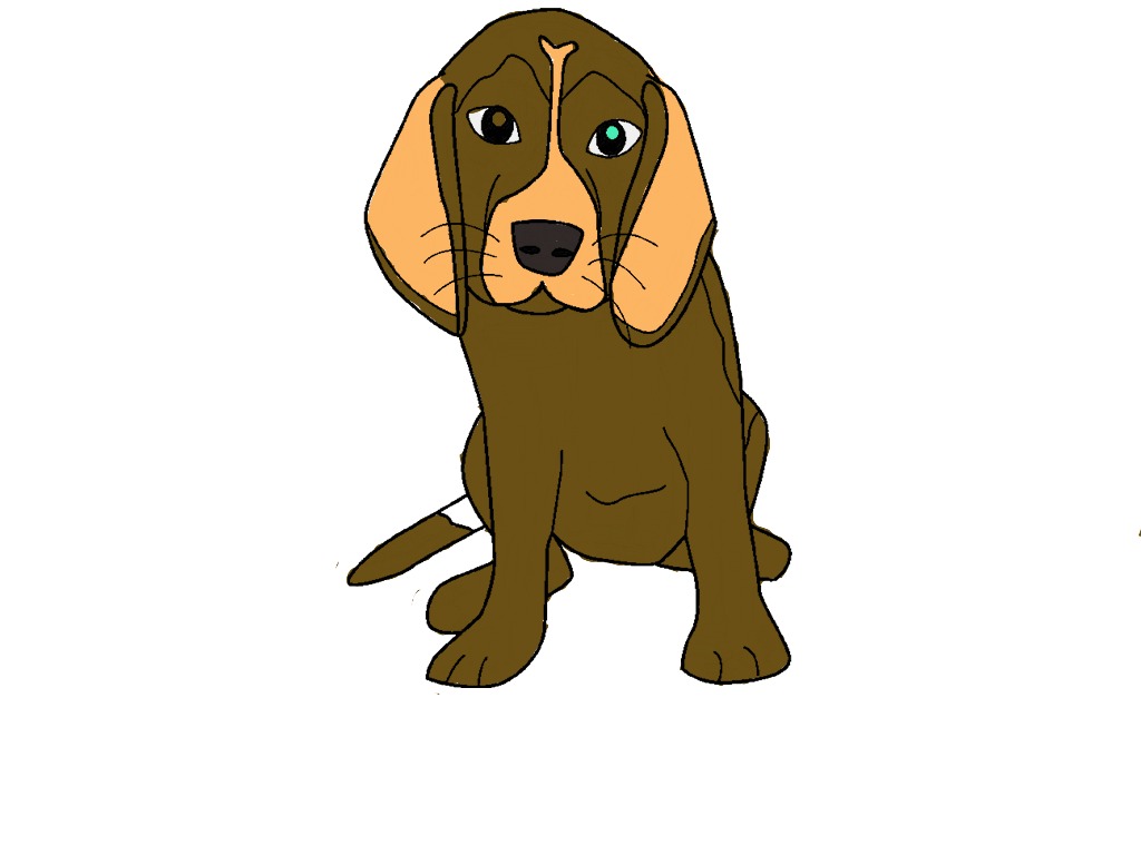 bojanke_1698598628.png