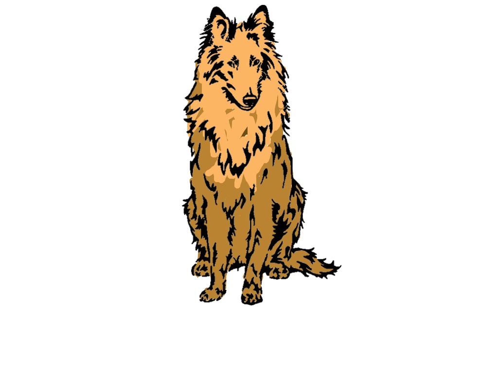 bojanke_1698740248.png