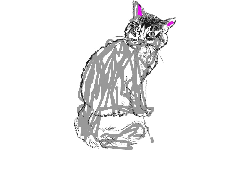 bojanke_1698920263.png