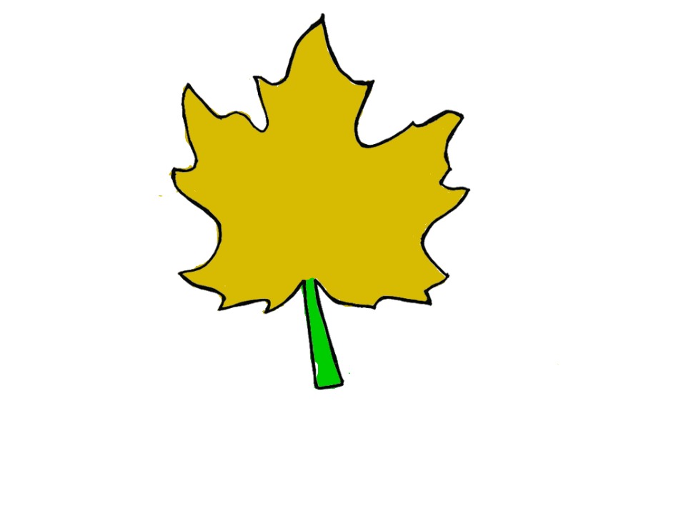 bojanke_1698930643.png