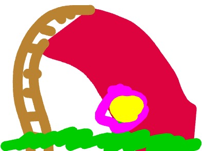 bojanke_1699465357.png