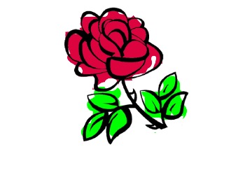 bojanke_1699523758.png