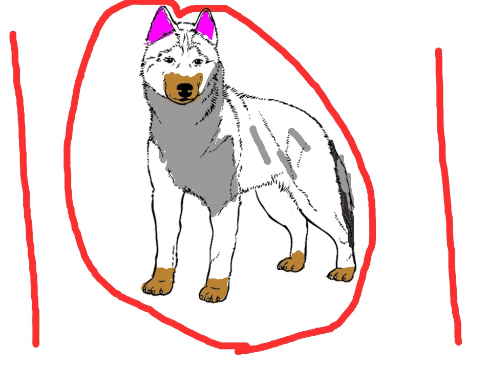 bojanke_1699525973.png