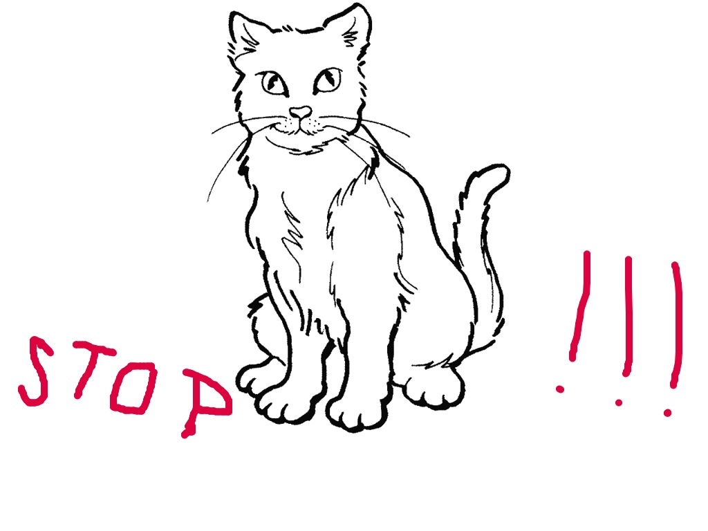 bojanke_1699616254.png