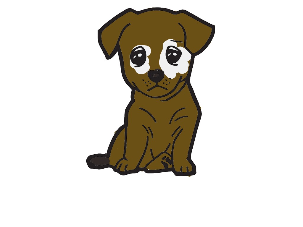 bojanke_1699984549.png