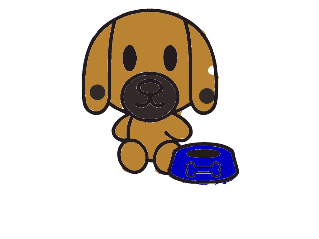 bojanke_1700584768.png